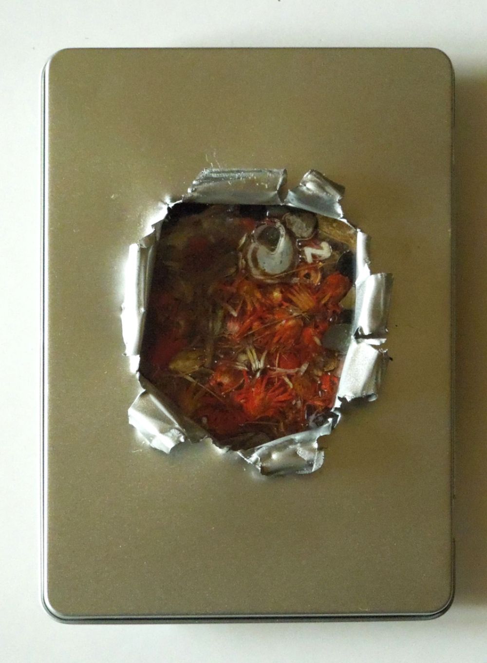 13-09-2025-kleine-welten-52-06