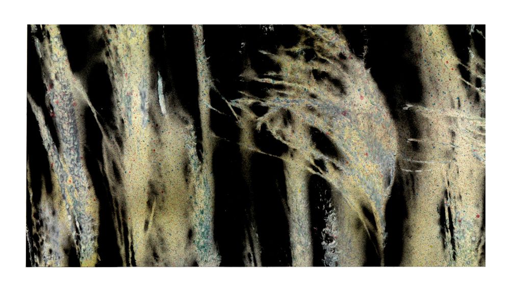 16-12-2024-der-fries-1-01