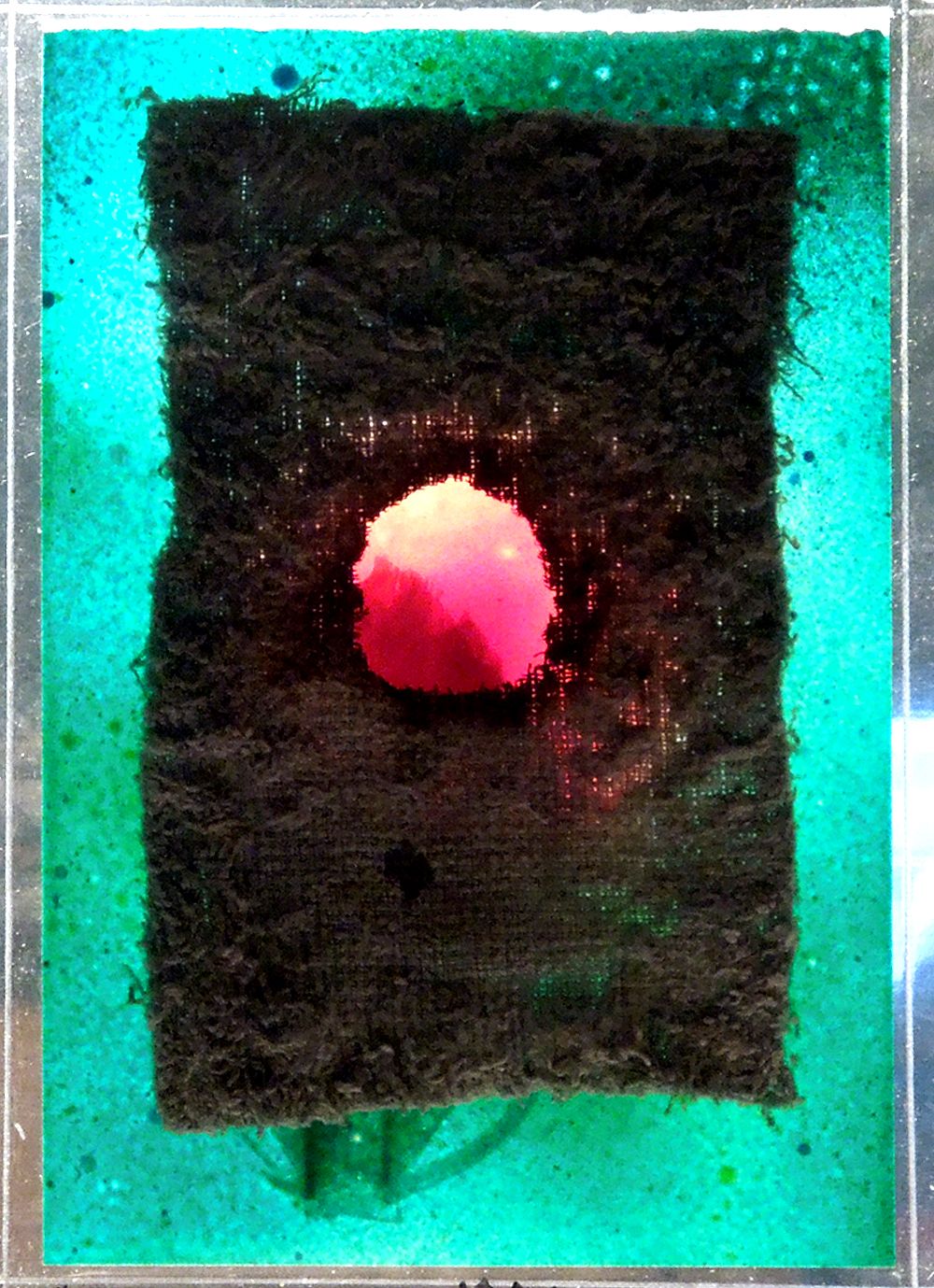 25-04-2022-spring-mmxxll-04
