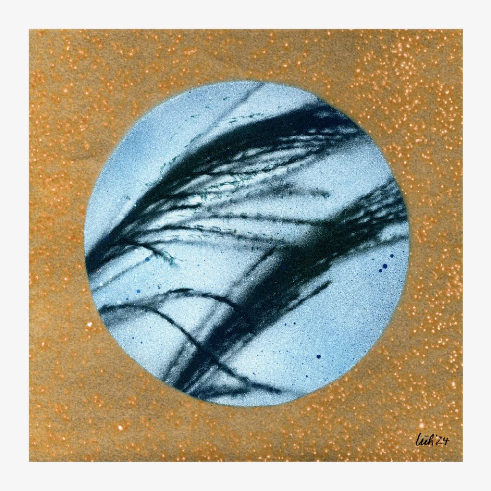 25-11-2024-rohrschilf-01-11-01